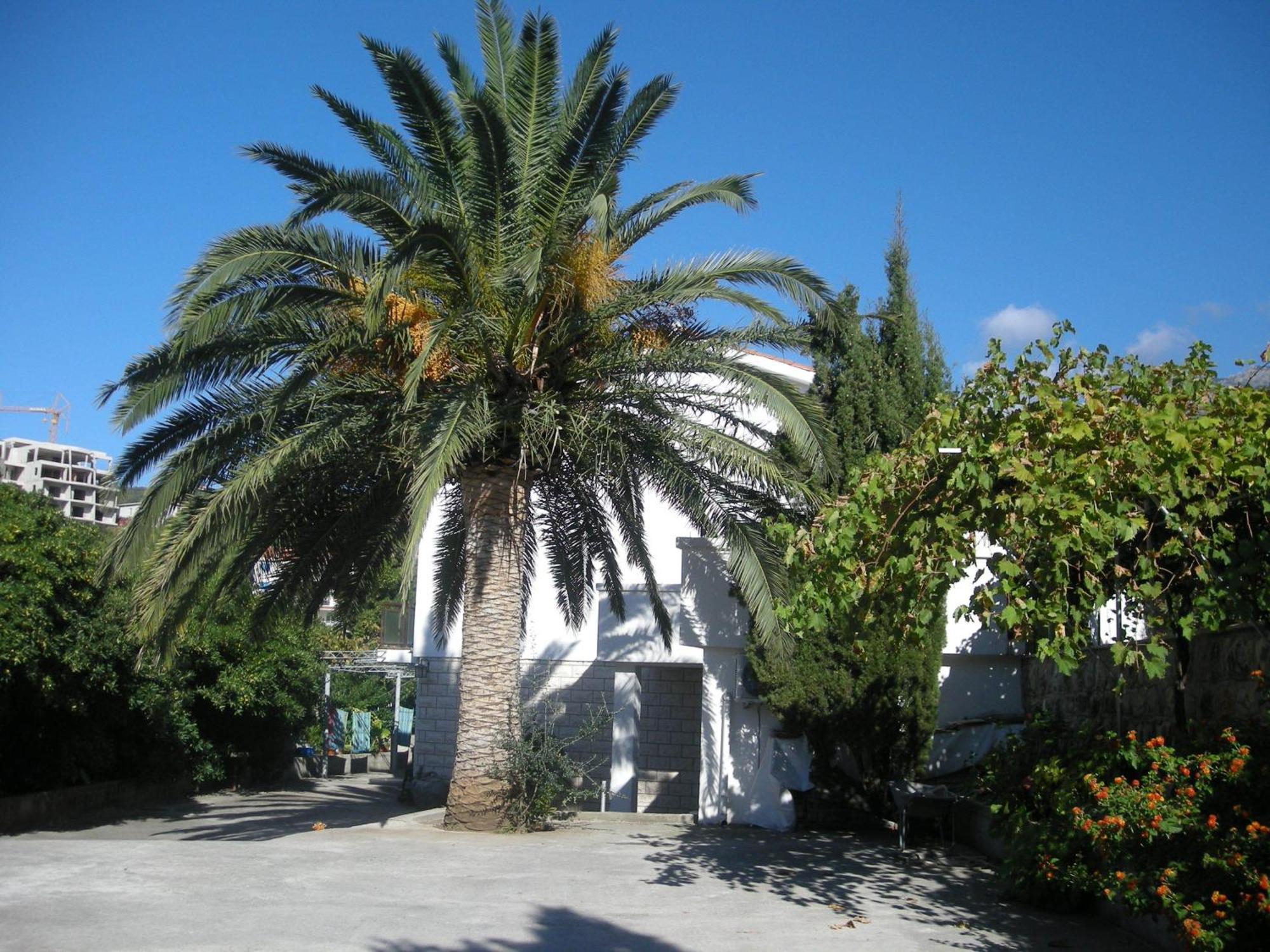 Apartments Becic Budva Luaran gambar